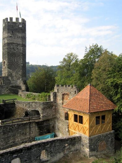 Eine alte Burg mit einem hohen Turm und historischen Mauern. Umgeben von Bäumen und einer grünen Wiese. | © Reinhard Nunner