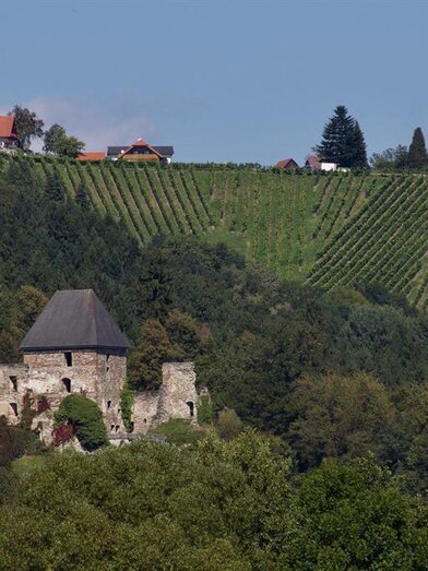 Burgruine Ligist | © Rainer M. Fürstaller