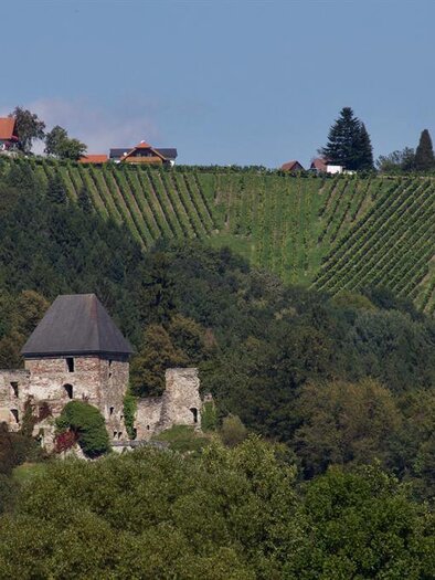 Eine alte Burgruine liegt umgeben von Bäumen. Im Hintergrund erstrecken sich sanfte Weinberge und Häuser. | © Rainer M. Fürstaller
