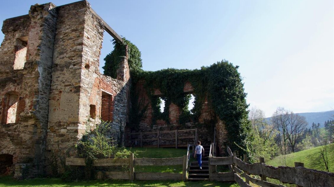 Eine alte Ruine umgeben von üppigem Grün. Im Hintergrund sind sanfte Hügel und ein blauer Himmel zu sehen. | © TVB Ligist
