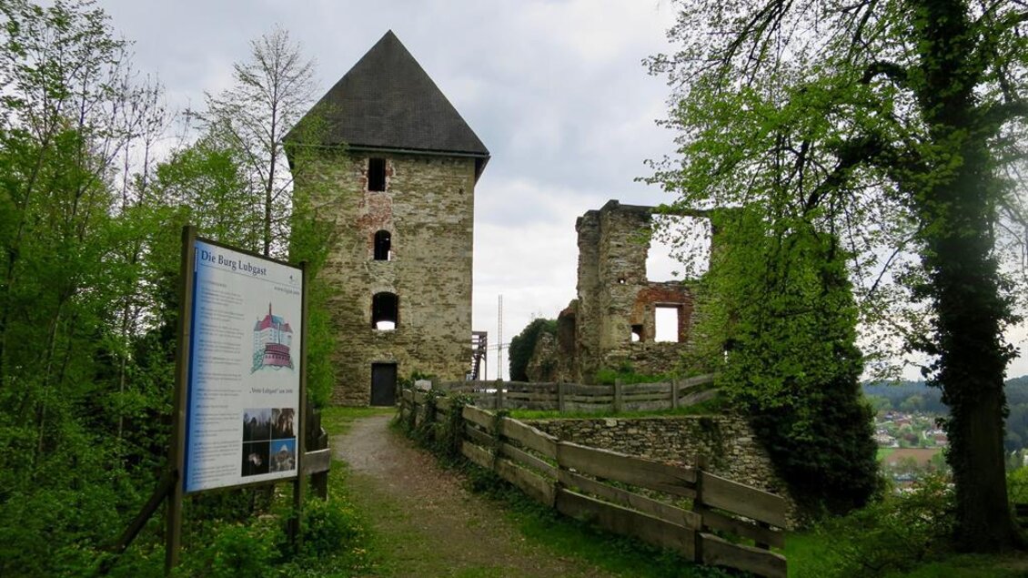 Eine alte Burgruine umgeben von Bäumen und einer historischen Informationstafel. Der Weg führt zum Eingang der Ruine. | © TVB Ligist