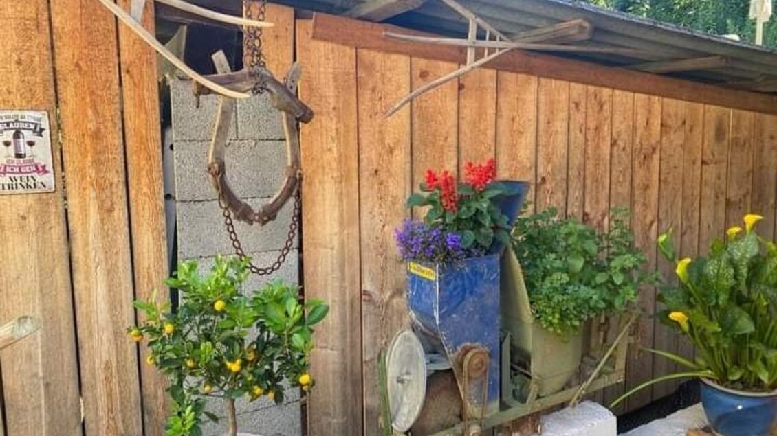 Ein schöner Gartenbereich mit einer alten Schubkarre, gefüllt mit bunten Blumen. Neben der Schubkarre steht ein Zierbaum mit gelben Früchten in einem Blumentopf. | © Fam. Tomaschitz