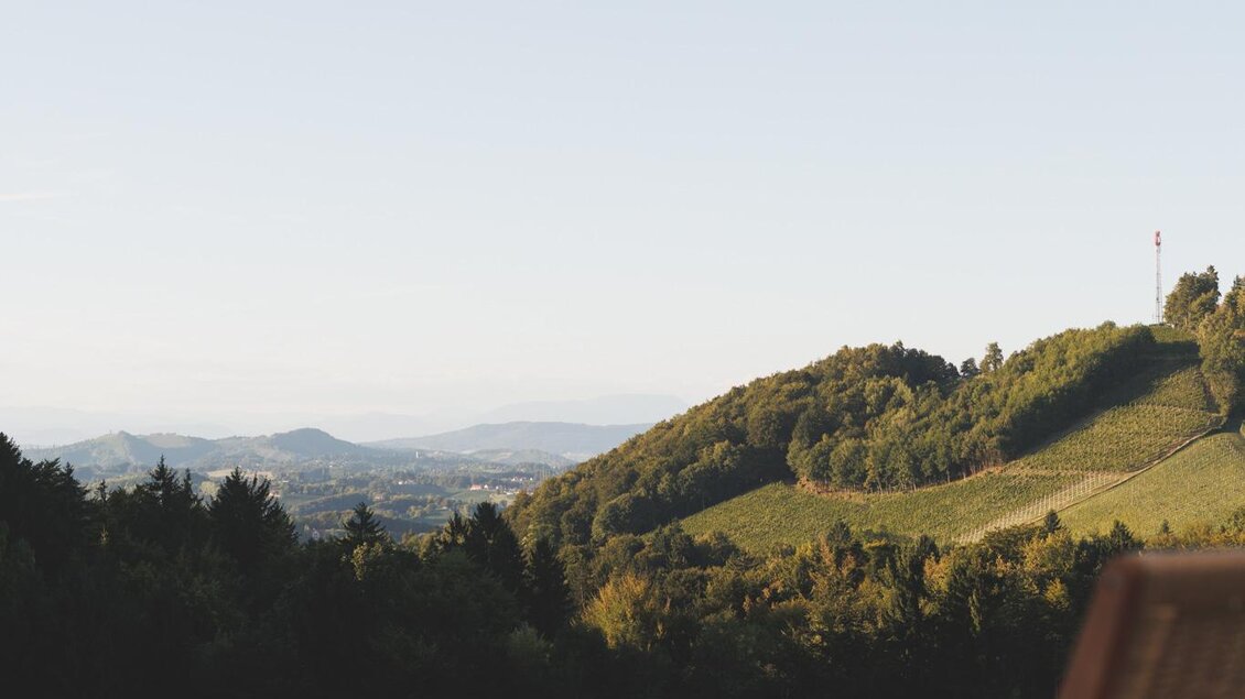 25_09_Firmenich_Garten_Stiefkind_Fotografie_0112_w