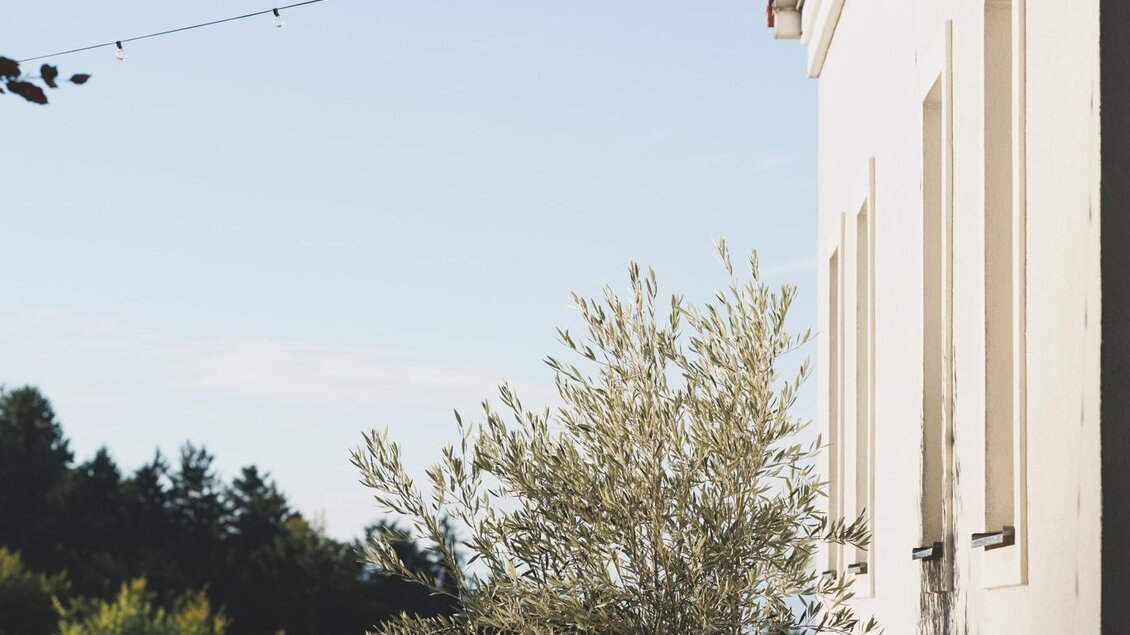 25_09_Firmenich_Garten_Stiefkind_Fotografie_0083_w