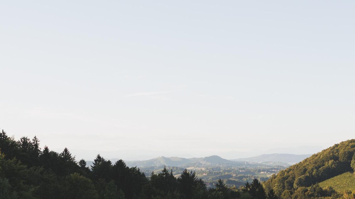 25_09_Firmenich_Garten_Stiefkind_Fotografie_0120_w