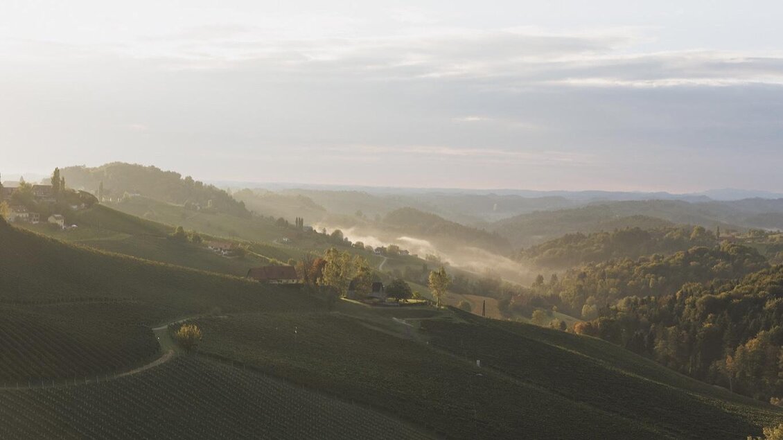 D327F088-5712-4ADF-BCD2-5914B47731A9