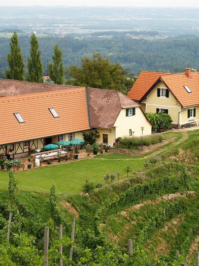 Weingut Albert | © Weingut Albert | Weingut Albert | © Weingut Albert