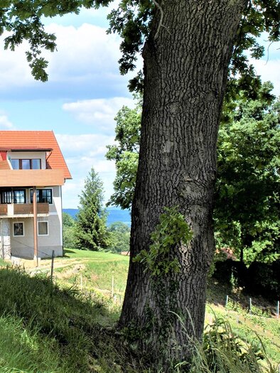 Weingut und Buschenschank Assigal | © Weingut Assigal