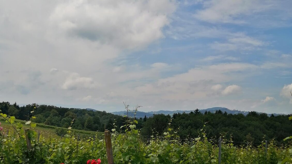 Weingut Bernhard 8 | © Weingut Buschenschank Bernhard