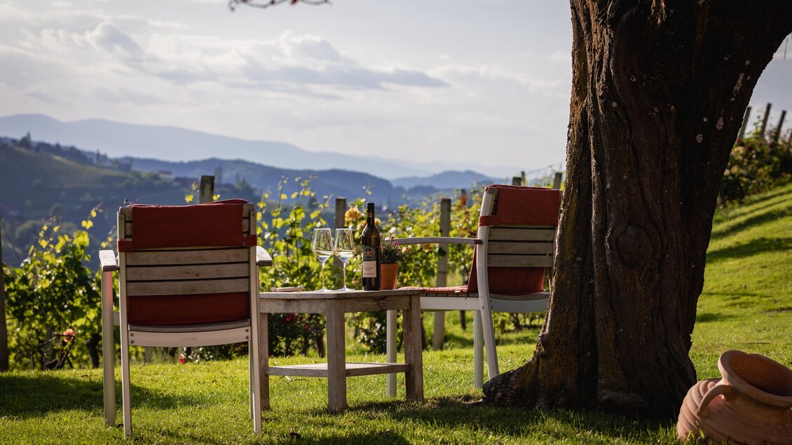 Brolli 5 | © Thomas Windisch