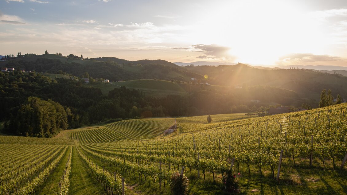 Brolli 9 | © Thomas Windisch