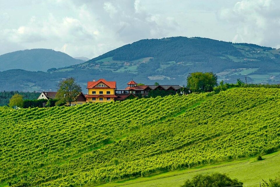 Buschenschank Burger - Impression #1 | © Familie Burger