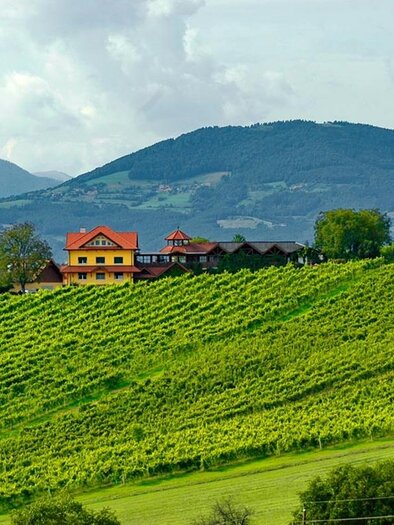 Buschenschank Burger_Aussen_Oststeiermark | © Familie Burger