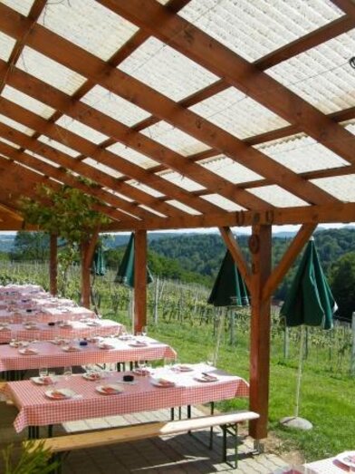 Buschenschank Christiner1 | Buschenschank Christiner