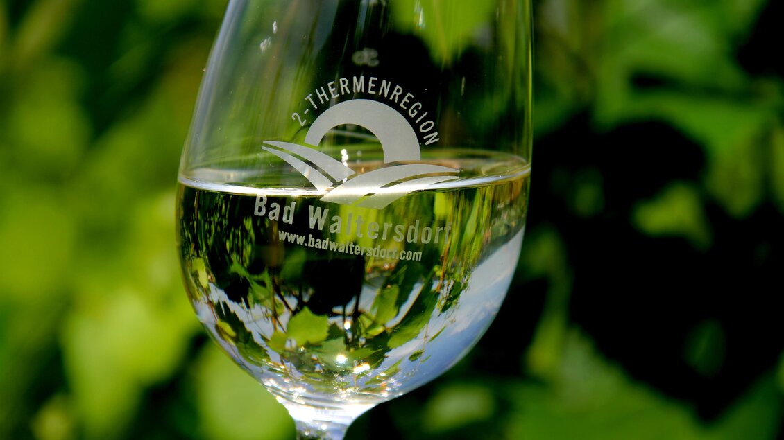 Ein Glas Weißwein vor einem grünen Hintergrund. Der Wein spiegelt die Umgebung wider.