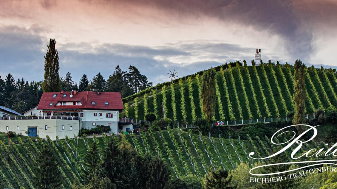 Buschenschank Reiterer