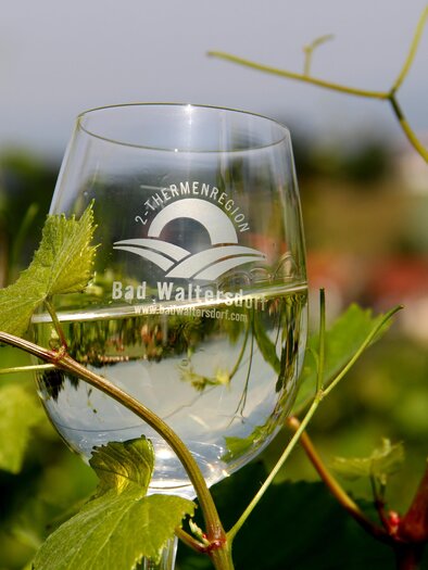 A glass of water stands between vines. In the background, gentle hills and a clear atmosphere can be seen. | © Thermen- und Vulkanland