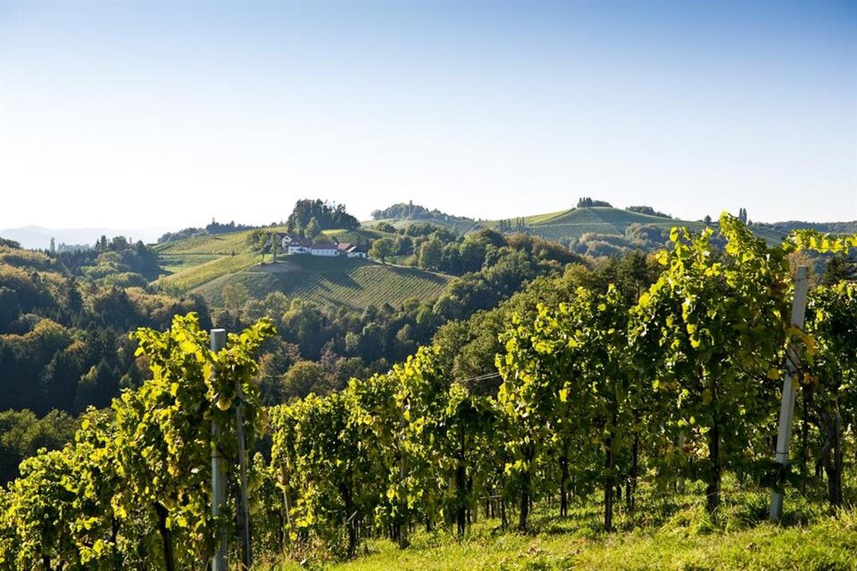 Buschenschank Hack-Gebell - Impression #1 | © Hack-Gebell