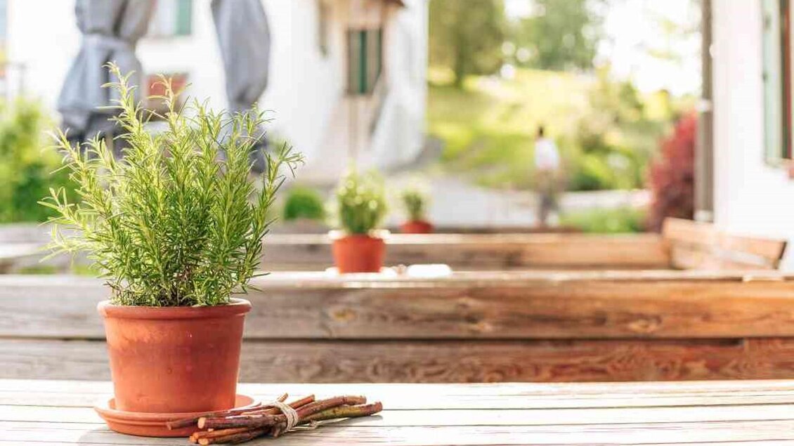 Ein blühender Kräutertopf auf einem Holztisch. Im Hintergrund sind verschwommen Häuser und Personen zu sehen. | © Hack-Gebell