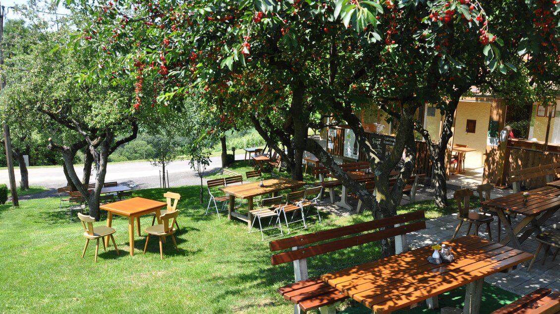 Ein einladender Garten mit Holztischen und Bänken unter schattenspendenden Bäumen. Die grüne Wiese sorgt für eine entspannte Atmosphäre. | © Weingut Hopfer