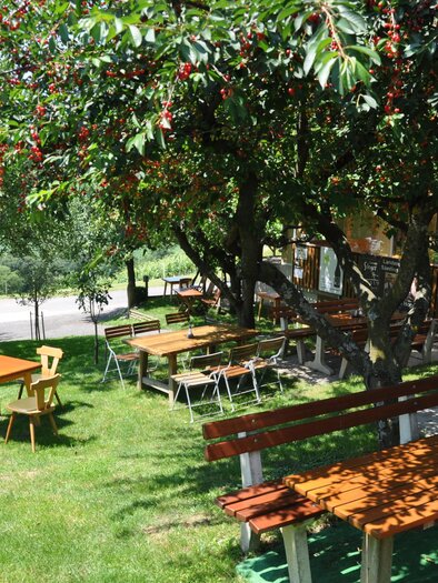 Ein einladender Garten mit Holztischen und Bänken unter schattenspendenden Bäumen. Die grüne Wiese sorgt für eine entspannte Atmosphäre. | © Weingut Hopfer