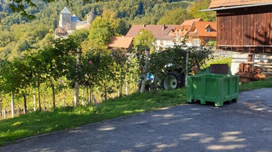 Ausblick auf die Burg Deutschlandsberg | © Buschenschank Jauk