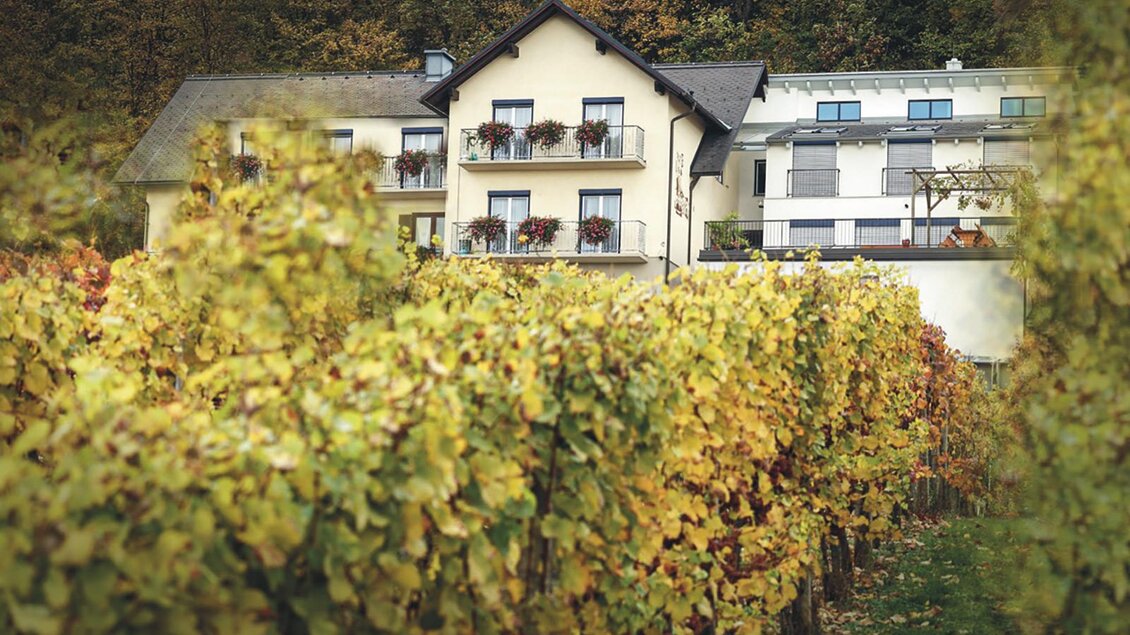 Buschenschank | © Klöcklschuster