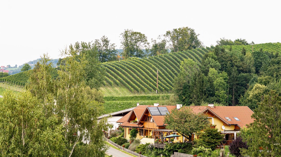 Eine malerische Landschaft mit sanften Weinbergen und üppigem Grün. Im Vordergrund steht ein gemütliches Haus, umgeben von Bäumen und Weg. | © Alois Stingl | Klapotetzhof Silberschneider