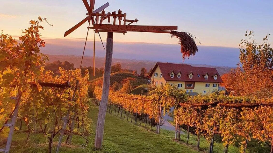 Ein malerischer Weinberg mit orangefarbenen Blättern und einem alten Windrad. Im Hintergrund ist ein gelbes Haus vor einer bunten Abendhimmel zu sehen. | © Brigitte Maier | Klapotetzhof Silberschneider