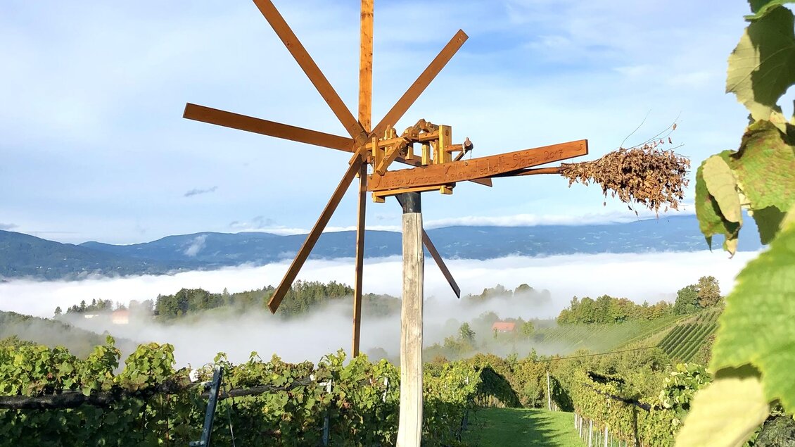 Ein Weinberg mit grünen Reben und einem Holzrad, das Trauben abgibt. Im Hintergrund sind Nebel und sanfte Hügel zu sehen. | © Klapotetzhof Silberschneider