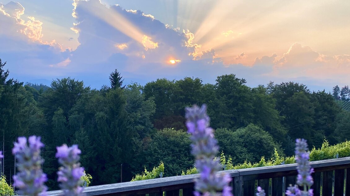 Eine malerische Landschaft mit Lavendelblüten im Vordergrund. Im Hintergrund strahlen die Sonnenstrahlen durch die Wolken am Horizont.