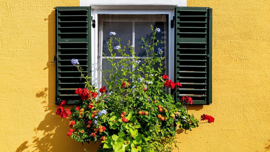 Buschenschank Kos | © TV Region Graz - Harry Schiffer