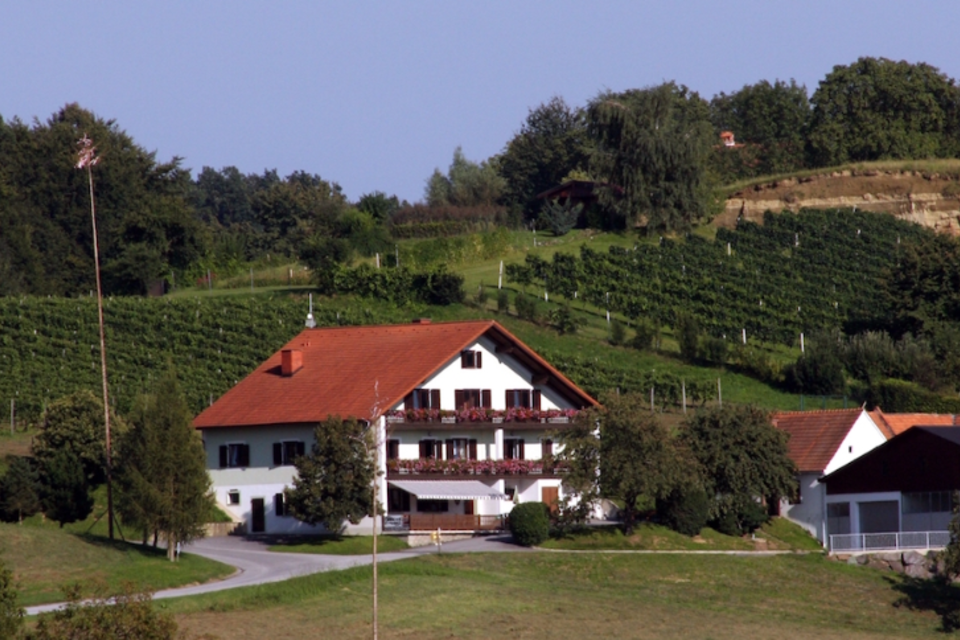 Buschenschank Kurvenfritz - Impression #1 | © © Kurven Fritz