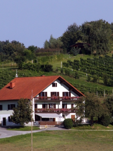 Buschenschank | © © Kurven Fritz