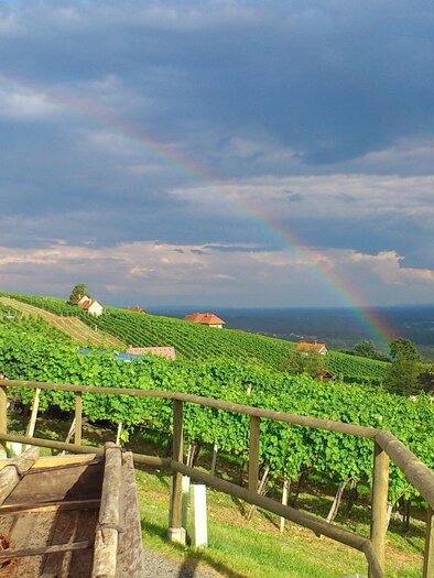 Buschenschank Kurz | © BS Kurz