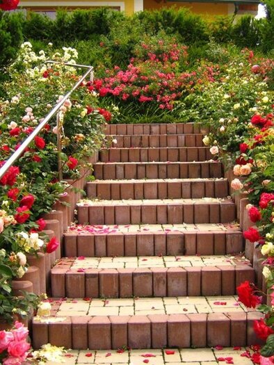 A picturesque staircase surrounded by colorful roses in various colors. The path is lined with blooming plants, creating an inviting atmosphere. | © Weingut Lambauer