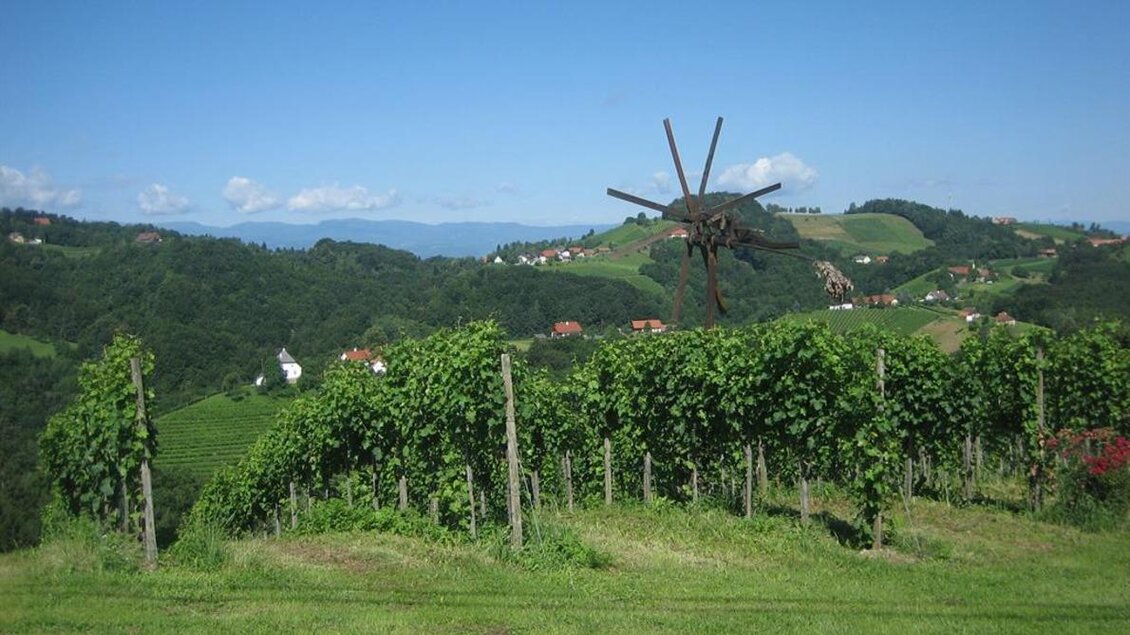 Eine malerische Weinlandschaft mit sanften Hügeln und einem klaren blauen Himmel. Im Vordergrund stehen Weinreben, im Hintergrund sind kleine Dörfer sichtbar. | © Weingut Lambauer