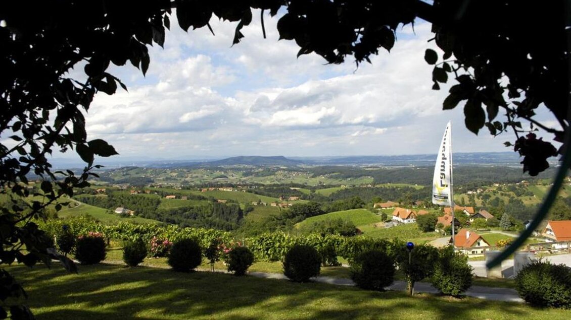 Eine malerische Landschaft mit sanften Hügeln und grünen Weinbergen. Im Hintergrund sind Gebäude und ein Segel sichtbar, umgeben von einer bewölkten Himmel. | © Weingut Lambauer
