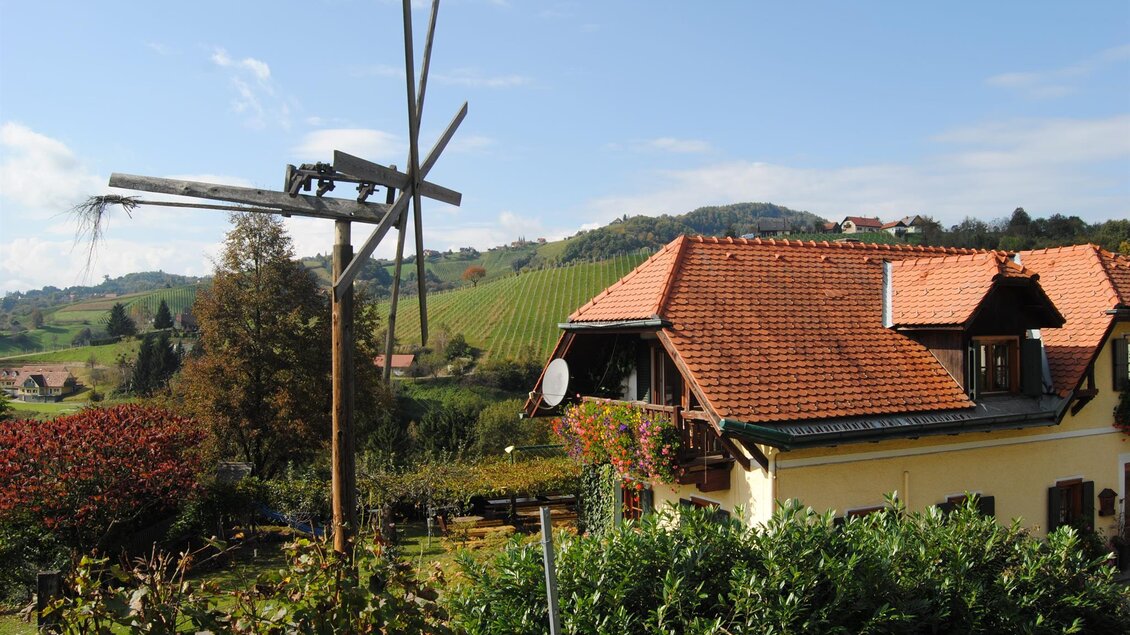 Ein malerisches Haus mit rotem Dach in einer grünen Landschaft. Im Hintergrund sind Weinberge und ein blauer Himmel zu sehen. | © www.michilorenz.at