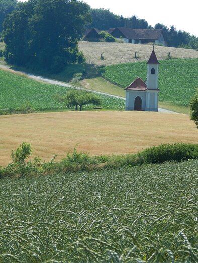 Bild1 | © Manuela Schweinzer- Riegler