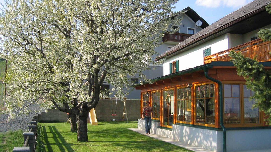 Familienweingut Oberer Germuth Kirschblüten | © Symbol-Edi Aldrian