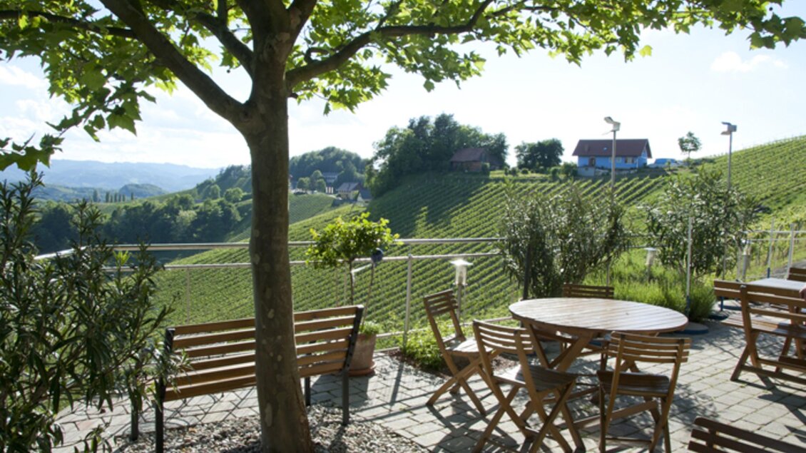 Terrasse | © Symbol-Edi Aldrian