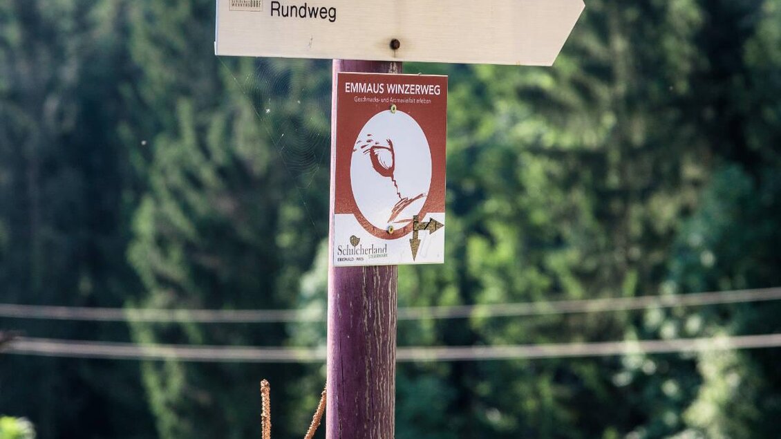 Ein Wegweiser mit der Aufschrift "Winzerweg" zeigt die Richtung und Dauer des Weges an. Im Hintergrund sind grüne Bäume und eine ruhige Landschaft zu sehen. | © Weinbau Pühringer