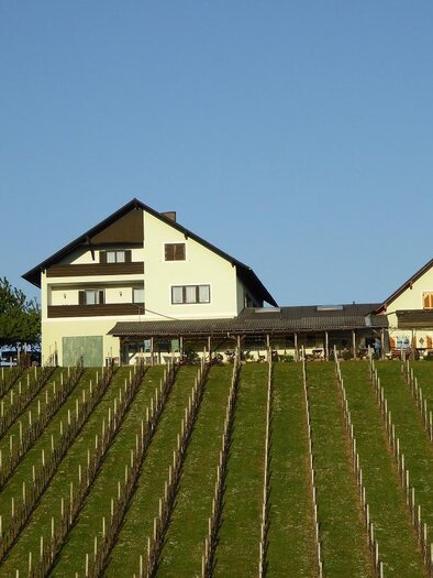 BS Leo Palz | © TV-Thermen- & Vulkanland