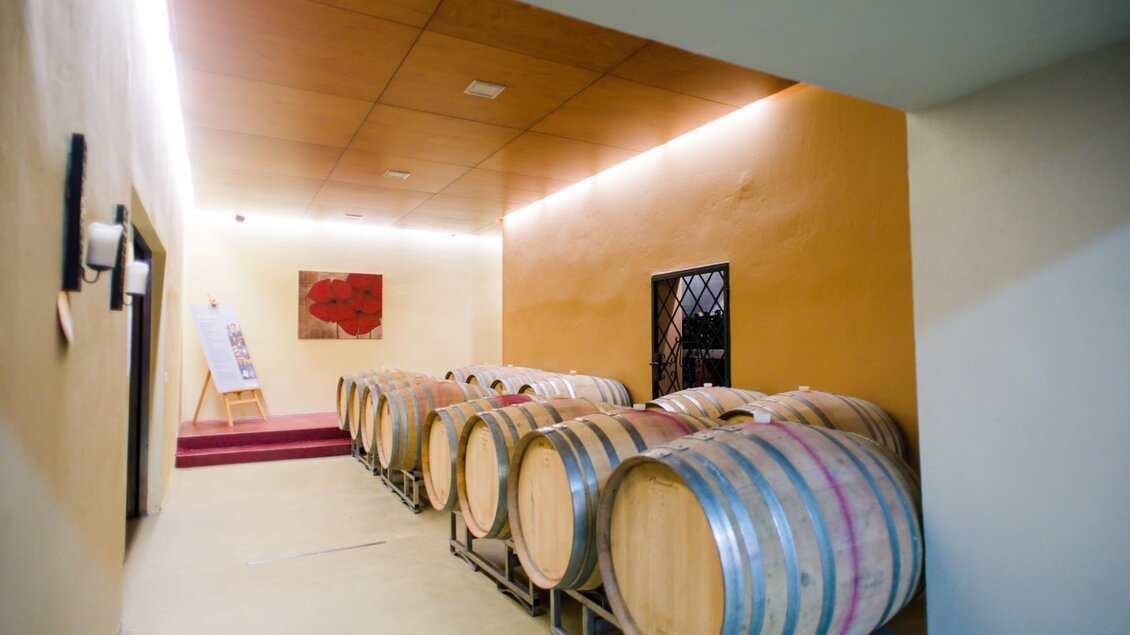 Ein Weinkeller mit Holzfässern entlang der Wand. Die Umgebung ist gut beleuchtet und modern gestaltet. | © Familie Repolusk | Weingut Repolusk