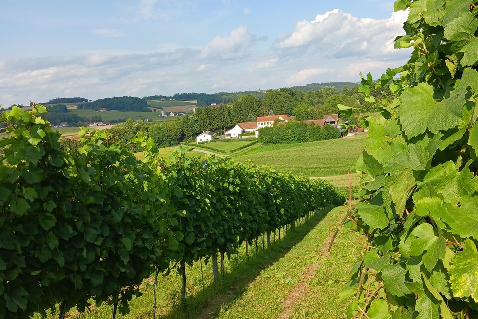 Buschenschank Safenhof - Fam. Baumgartner - Impression #1 | © Oststeiermark Tourismus