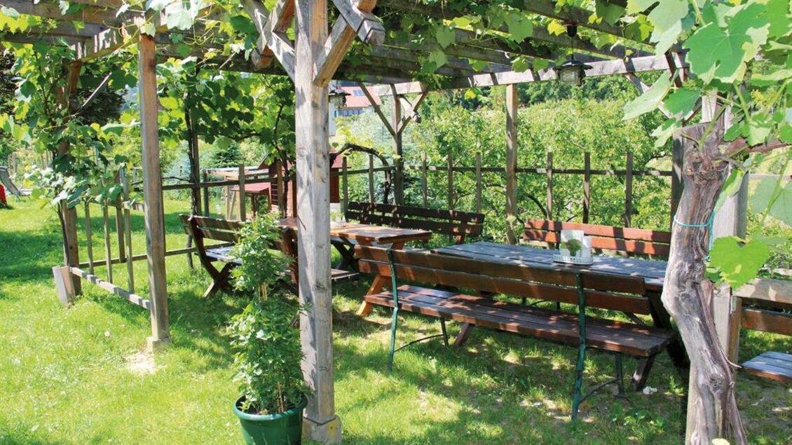 Ein einladender Gartenbereich mit Bänken und Tischen unter einem Holzpergola, umgeben von Weinreben. Der Rasen ist üppig grün und sorgt für eine entspannte Atmosphäre. | ©  Buschenschank Schulter