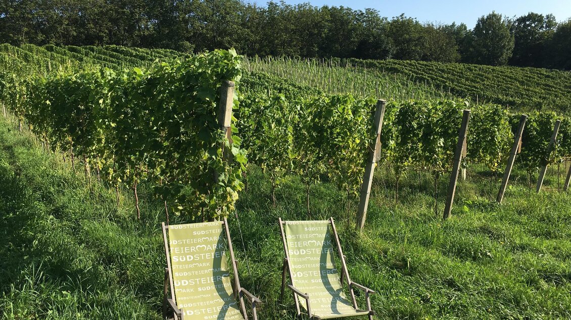 Ein malerischer Weinberg mit üppigen Reben und einem klaren blauen Himmel. Zwei Liegestühle laden zum Entspannen ein. | ©  Buschenschank Schulter