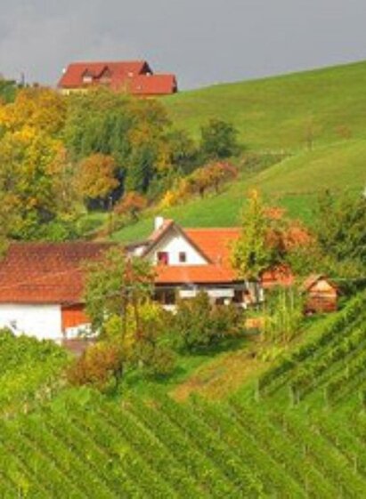 Skringer Ranz (1) | © Josef Skringer | Weingut Skringer