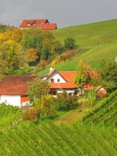 Skringer Ranz (1) | © Josef Skringer | Weingut Skringer